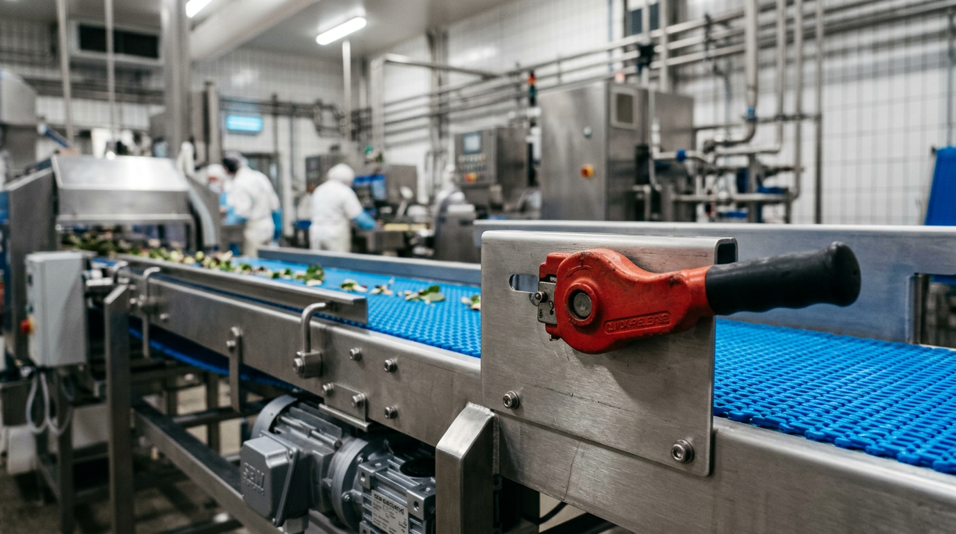 Maximizing OEE with Tool-Less Belt Change Designs on Modular Conveyors